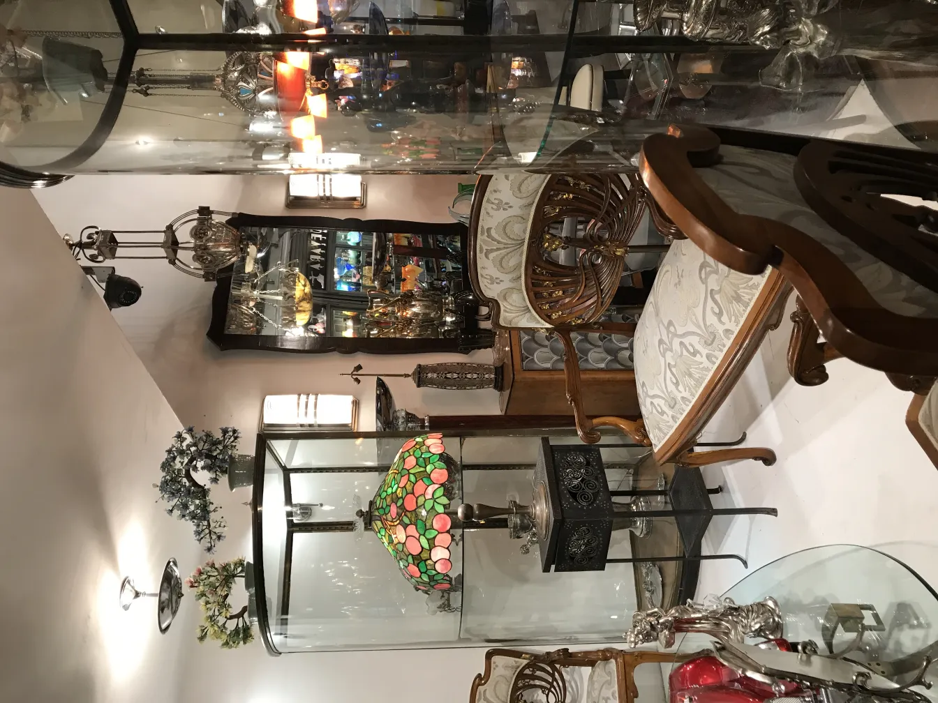 Un hermoso bonsái rodeado de antigüedades decorativas en una tienda.