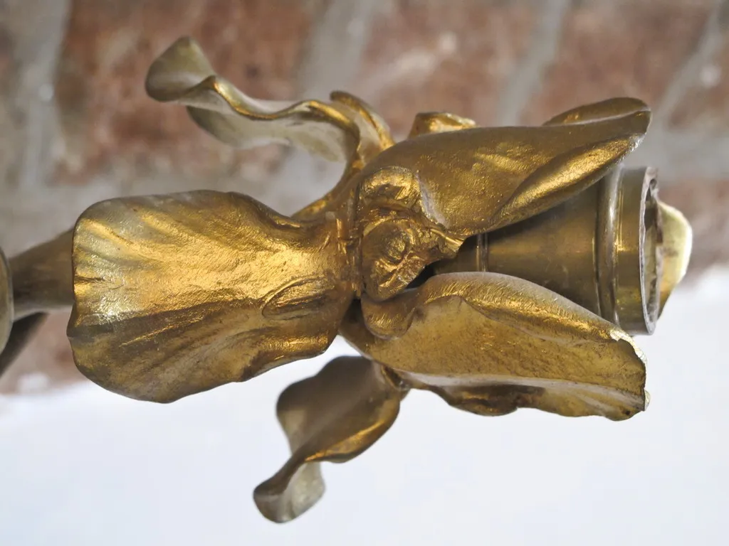 Antique pair of sconces with orchid design, elegant and detailed, cozy atmosphere.