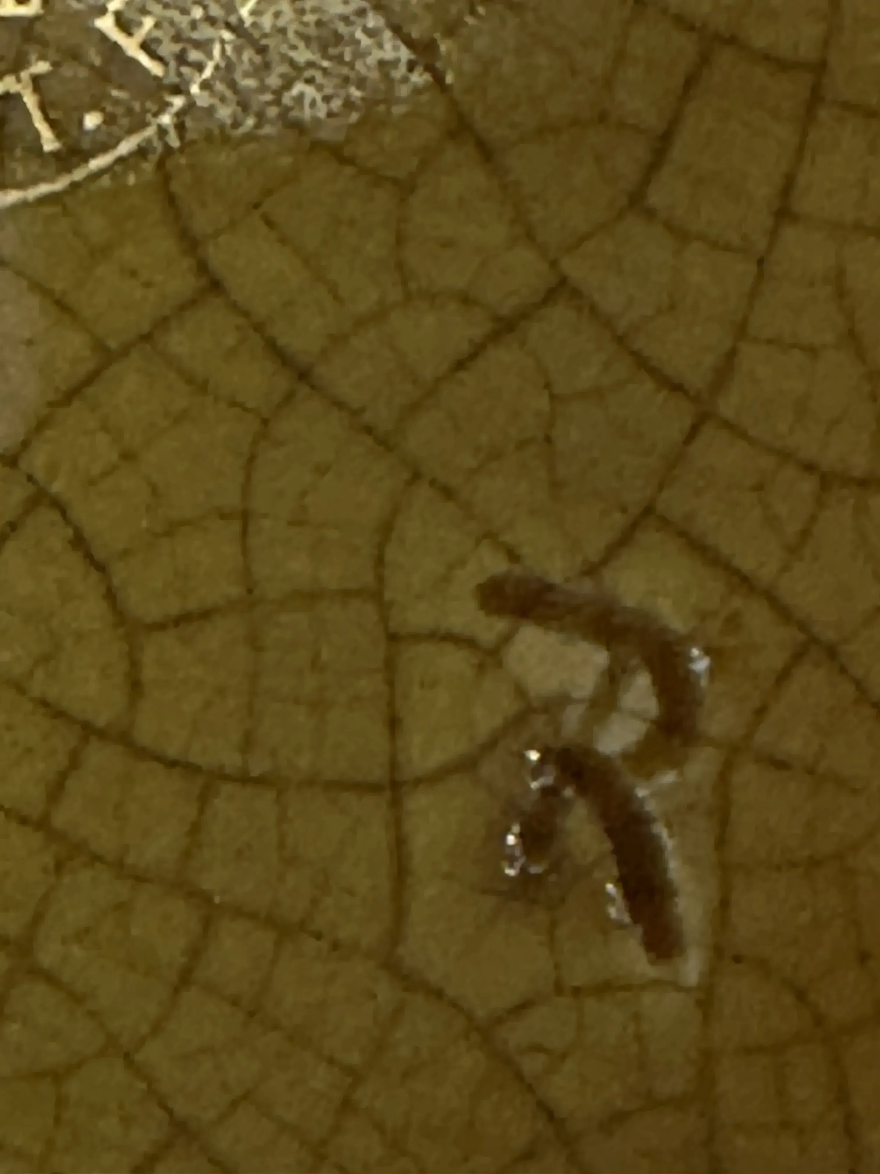 Antiguo sello con inscripción y firma visible, detalles de textura