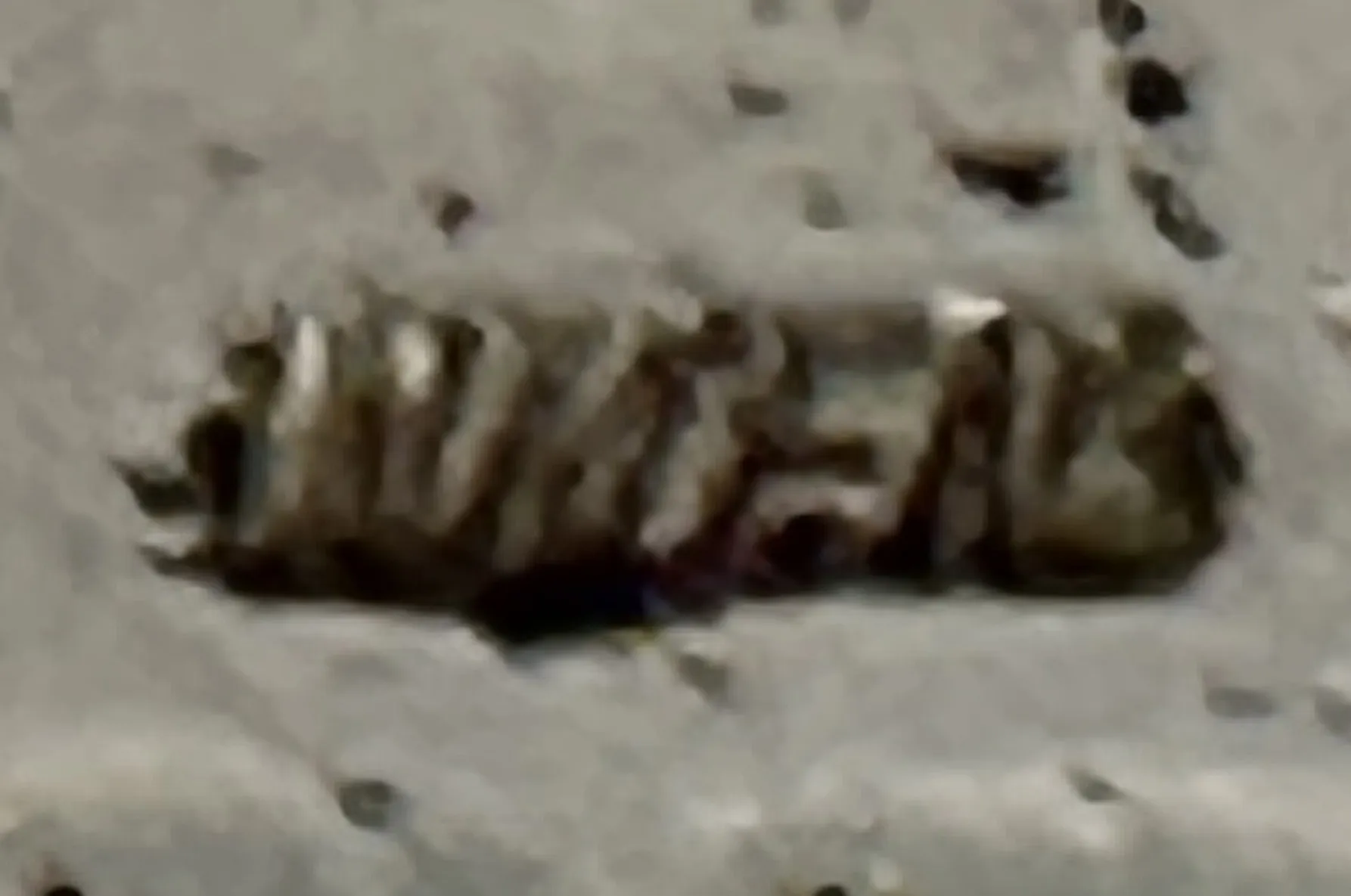sceau WMF avec inscription ancienne sur fond neutre