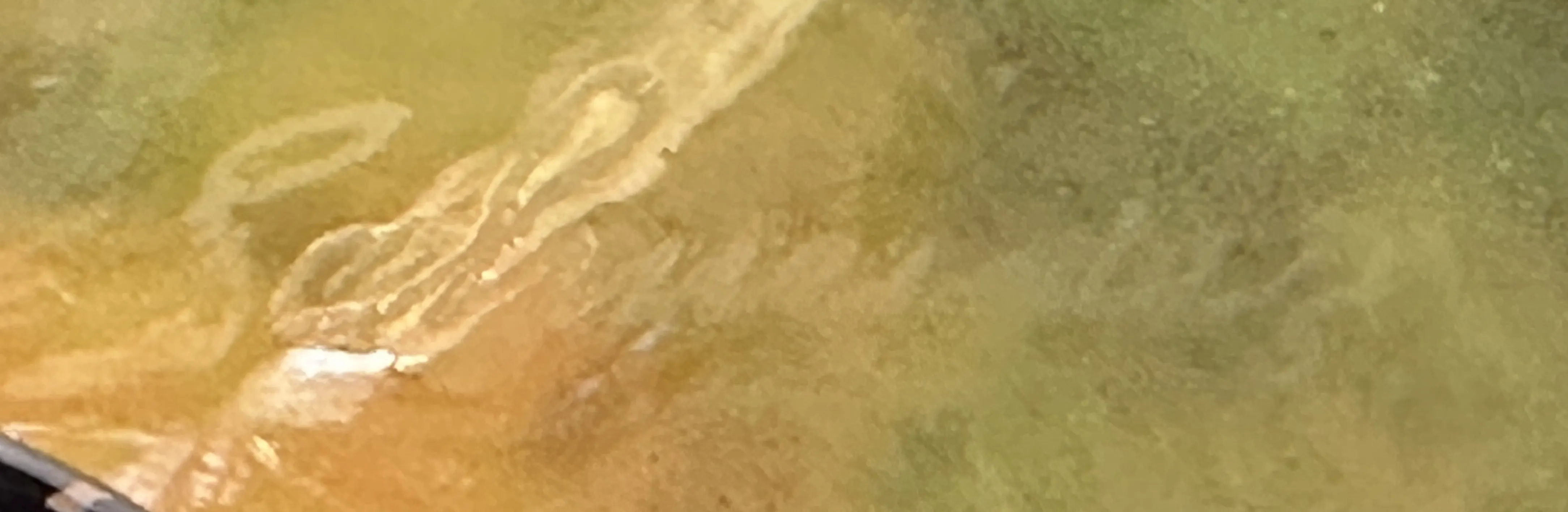 антикварная печать с классическими узорами на ярком фоне